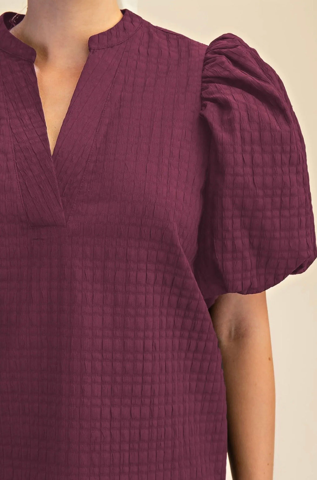 Plum Puff Sleeve Ruffle V-Neck Textured Top